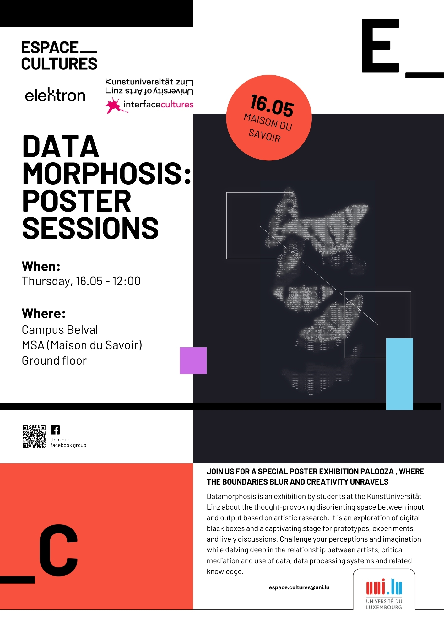 Datamorphosis: Poster Sessions